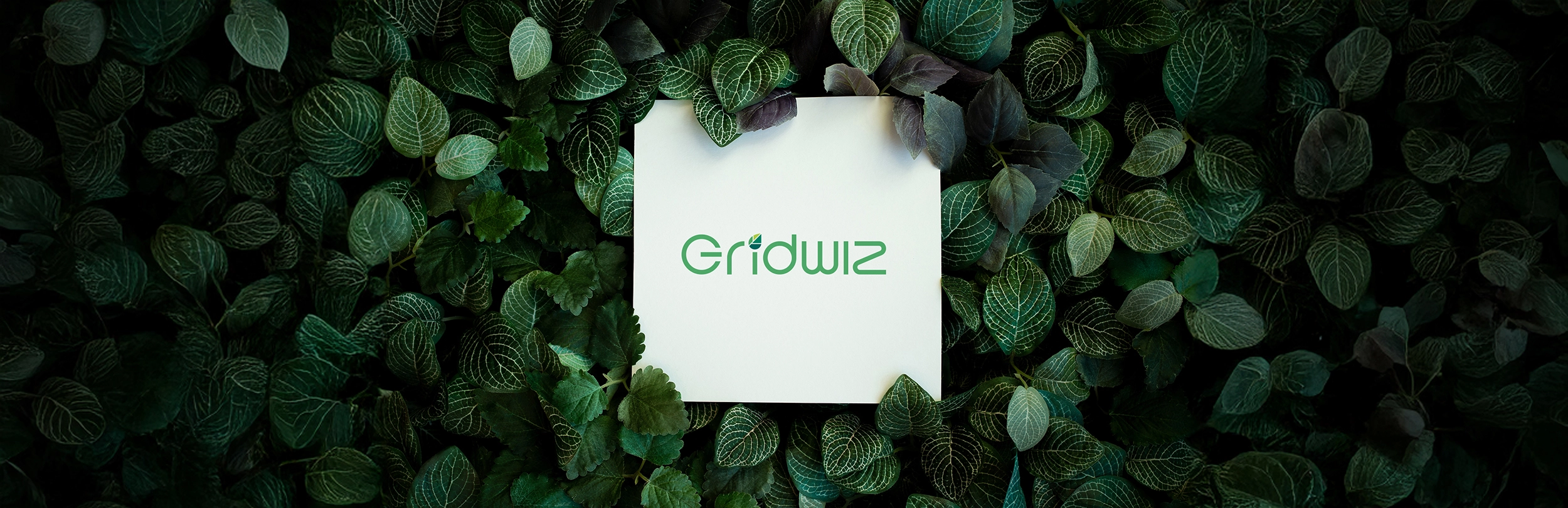 Gridwiz